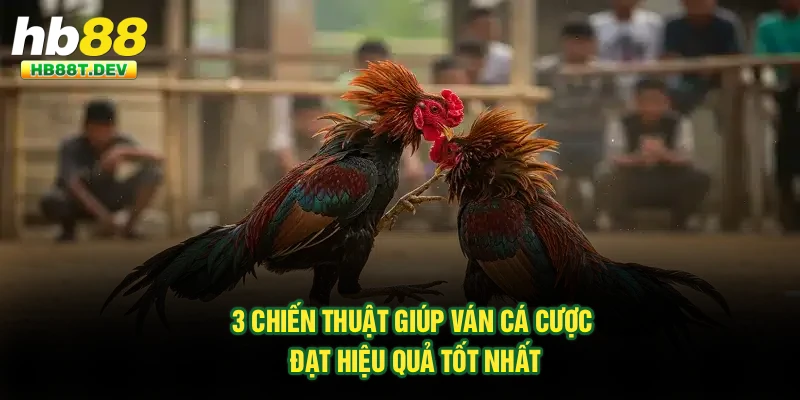 3 chiến thuật giúp ván cá cược đạt hiệu quả tốt nhất