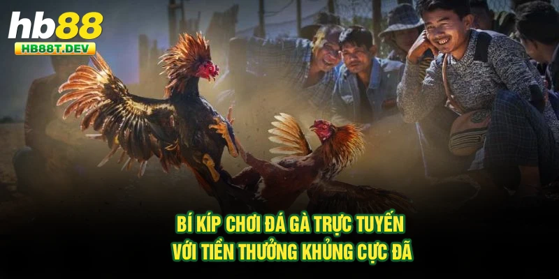 Bí kíp chơi đá gà trực tuyến với tiền thưởng khủng cực đã