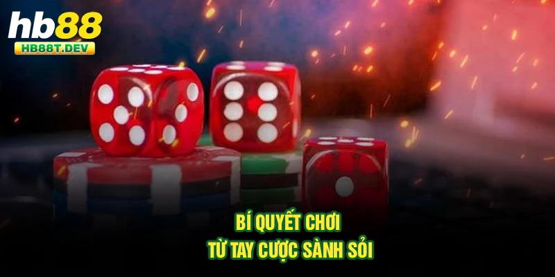Bí quyết chơi từ tay cược sành sỏi