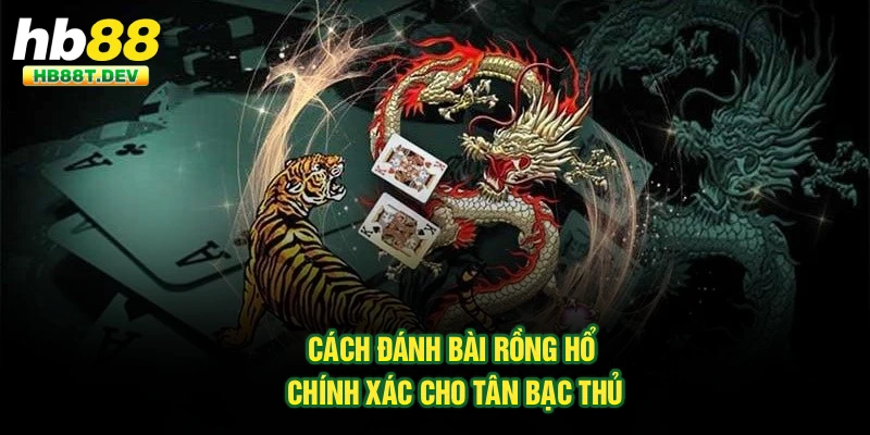 Cách đánh bài Rồng Hổ chính xác cho tân bạc thủ