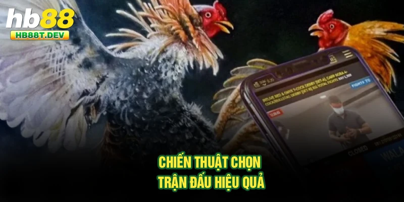 Chiến thuật chọn trận đấu hiệu quả