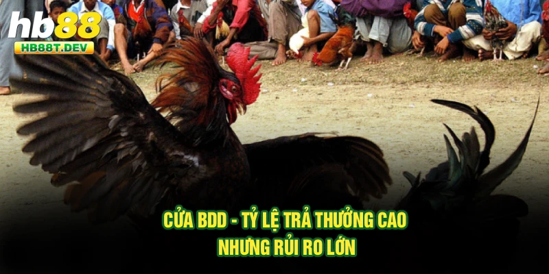 Cửa BDD - Tỷ lệ trả thưởng cao nhưng rủi ro lớn
