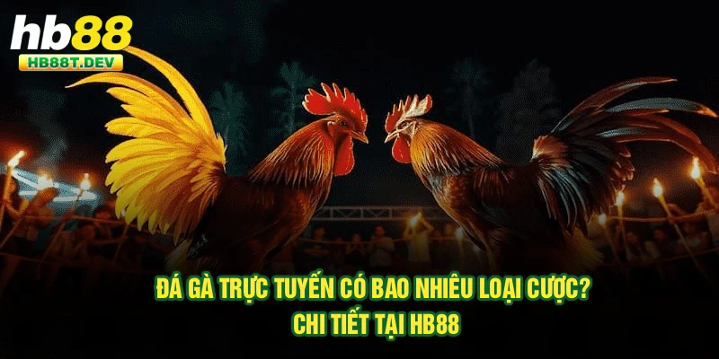 Đá Gà Trực Tuyến Có Bao Nhiêu Loại Cược? Chi Tiết Tại HB88