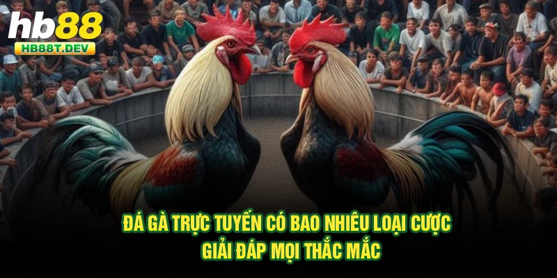 Đá Gà Trực Tuyến Có Bao Nhiêu Loại Cược? Chi Tiết Tại HB88