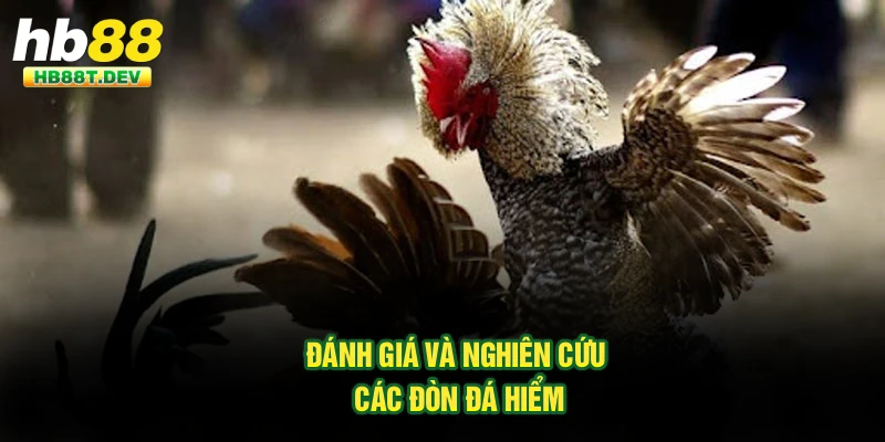 Đánh giá và nghiên cứu các đòn đá hiểm