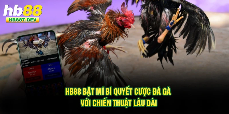 Hb88 Bật Mí Bí Quyết Cược Đá Gà Với Chiến Thuật Lâu Dài 
