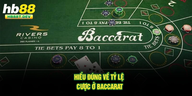 Hiểu đúng về tỷ lệ cược ở Baccarat