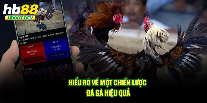 Hiểu rõ về một chiến lược đá gà hiệu quả