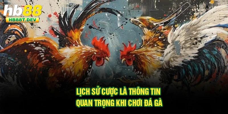 Lịch sử cược là thông tin quan trọng khi chơi đá gà