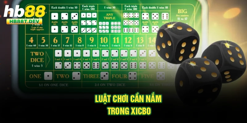 Luật chơi cần nắm trong Xicbo