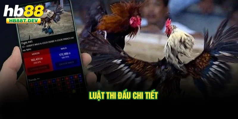 Luật thi đấu chi tiết