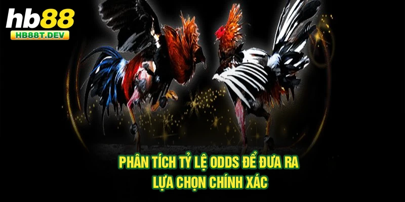 Phân tích tỷ lệ odds để đưa ra lựa chọn chính xác