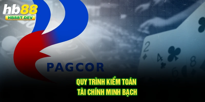 Quy trình kiểm toán tài chính minh bạch