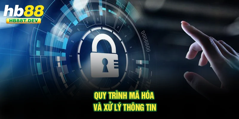 Quy trình mã hóa và xử lý thông tin