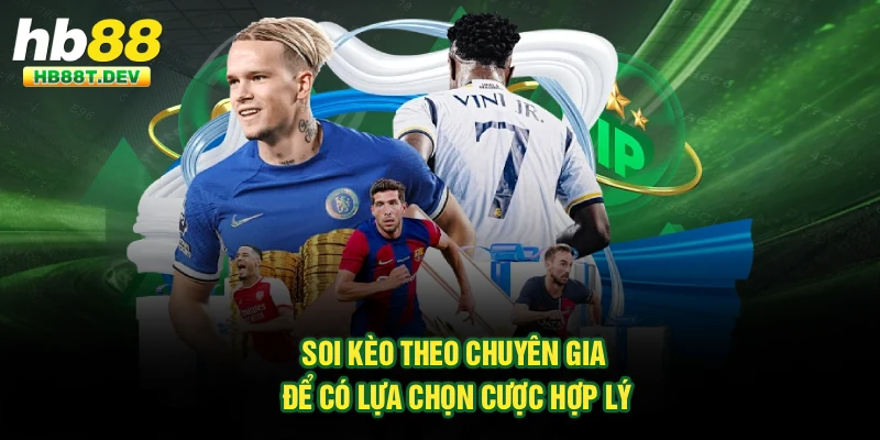 Soi kèo theo chuyên gia để có lựa chọn cược hợp lý