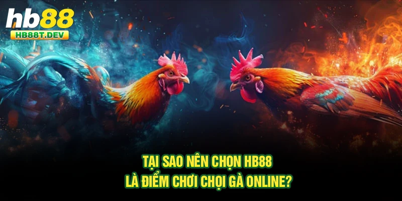 Tại sao nên chọn Hb88 là điểm chơi chọi gà online?