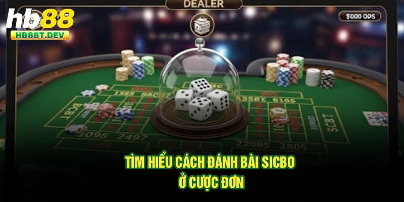 Tìm hiểu cách đánh bài Sicbo ở cược đơn