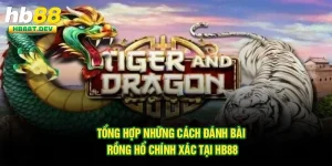 Tổng Hợp Những Cách Đánh Bài Rồng Hổ Chính Xác Tại Hb88