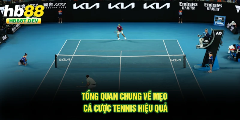 Tổng quan chung về mẹo cá cược tennis hiệu quả