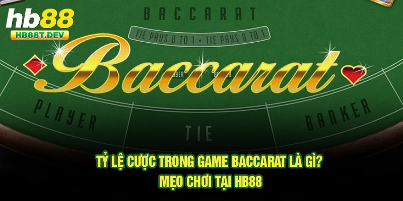 Tỷ Lệ Cược Trong Game Baccarat Là Gì? Mẹo Chơi Tại Hb88
